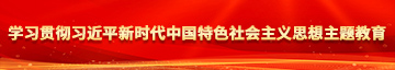 骚逼插入内射视频学习贯彻习近平新时代中国特色社会主义思想主题教育